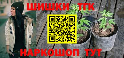 шишки Ирбит