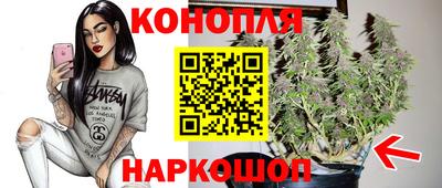 шишки Ирбит